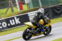 PJ-Motorsport-2019;anglesey;brands-hatch;cadwell-park;croft;donington-park;enduro-digital-images;event-digital-images;eventdigitalimages;mallory;no-limits;oulton-park;peter-wileman-photography;racing-digital-images;silverstone;snetterton;trackday-digital-images;trackday-photos;vmcc-banbury-run;welsh-2-day-enduro